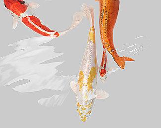 网易《一梦江湖》品牌大升级 全面进入2.0时代